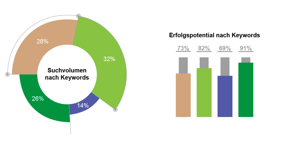 SEO-Case-Study OnlineShop