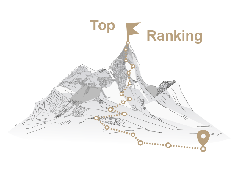 SEO-Weg zu einem TOP Ranking